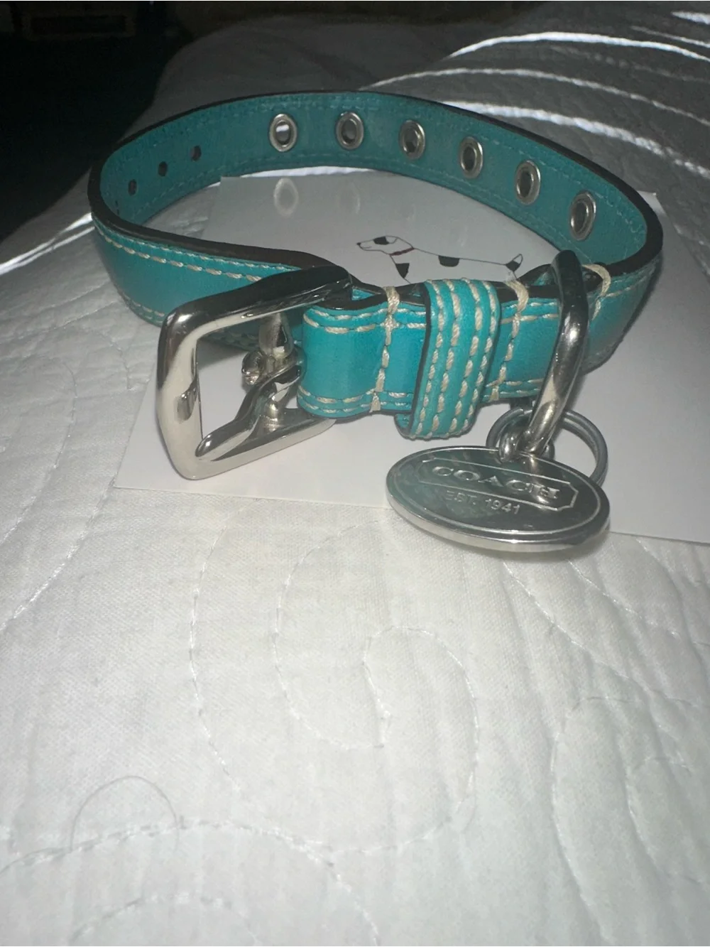 Coach XS Teal Leather Dog Collar with Silver Hardware